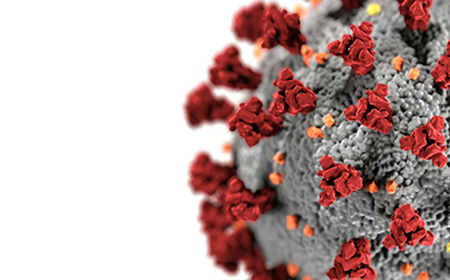 Covid-19 and It\'s Societal Impacts: A Research Showcase